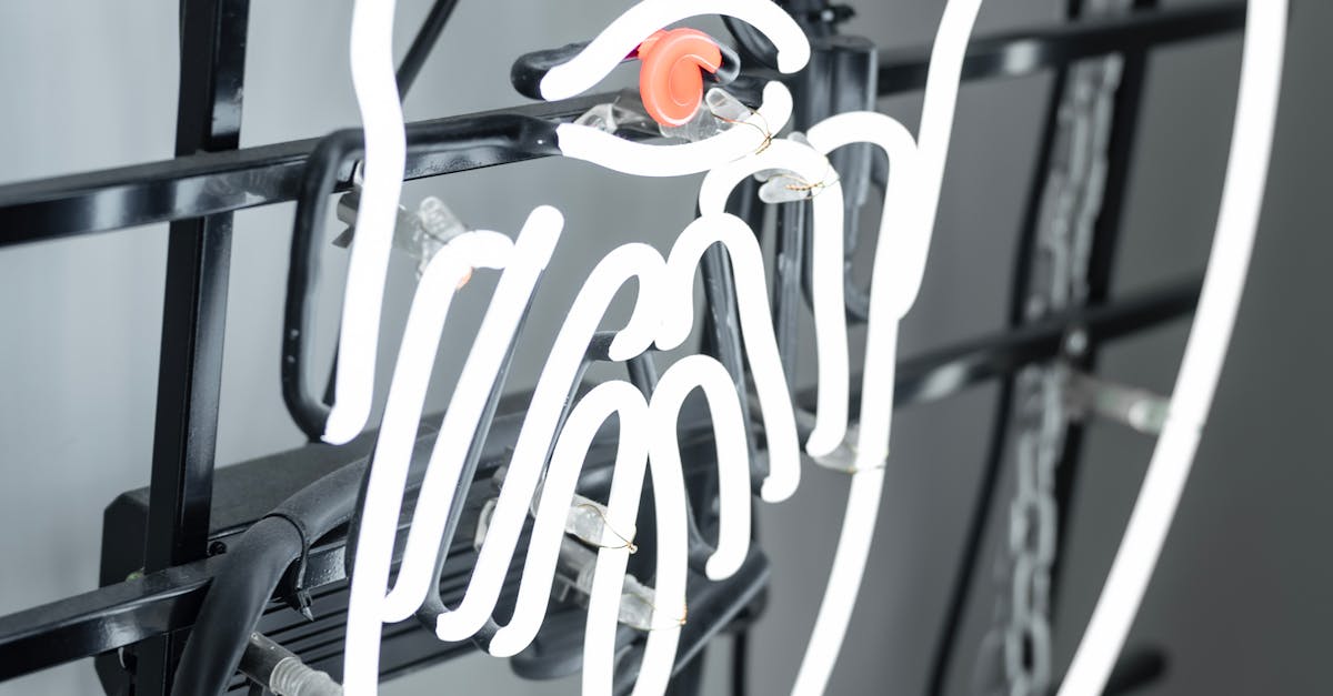 Innovations in Indoor Event Signage Solutions