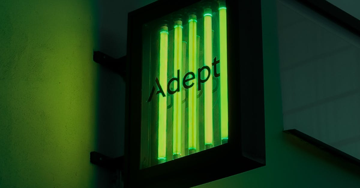 The Importance of Customised Signage in Festival Branding